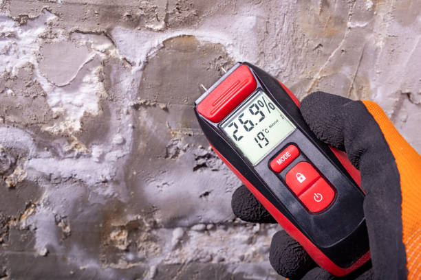 Professional Mold Removal in Garden City, SC